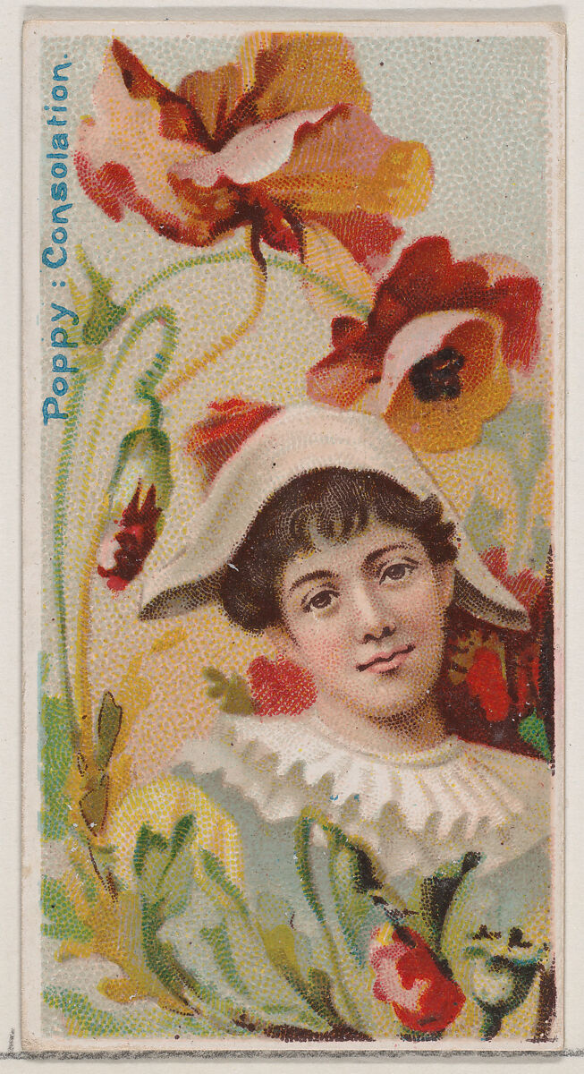 Poppy: Consolation, from the series Floral Beauties and Language of Flowers (N75) for Duke brand cigarettes, Issued by Duke Cigarette branch of the American Tobacco Company, Commercial color lithograph 