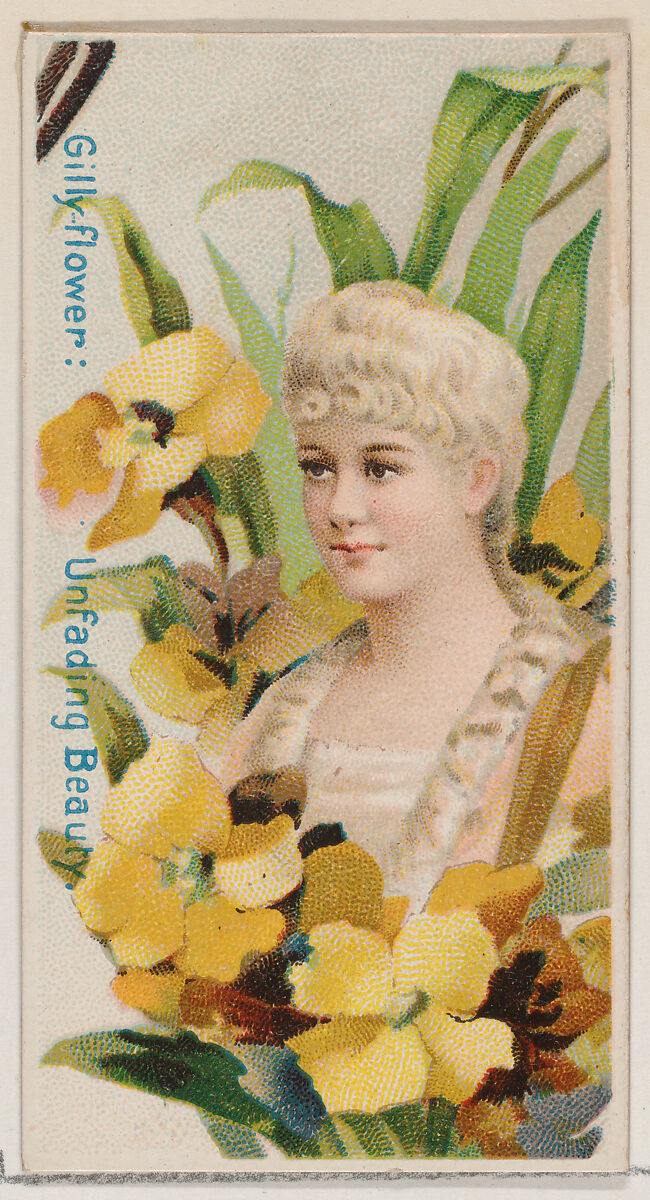 Gilly-flower: Unfading Beauty, from the series Floral Beauties and Language of Flowers (N75) for Duke brand cigarettes, Issued by Duke Cigarette branch of the American Tobacco Company, Commercial color lithograph 