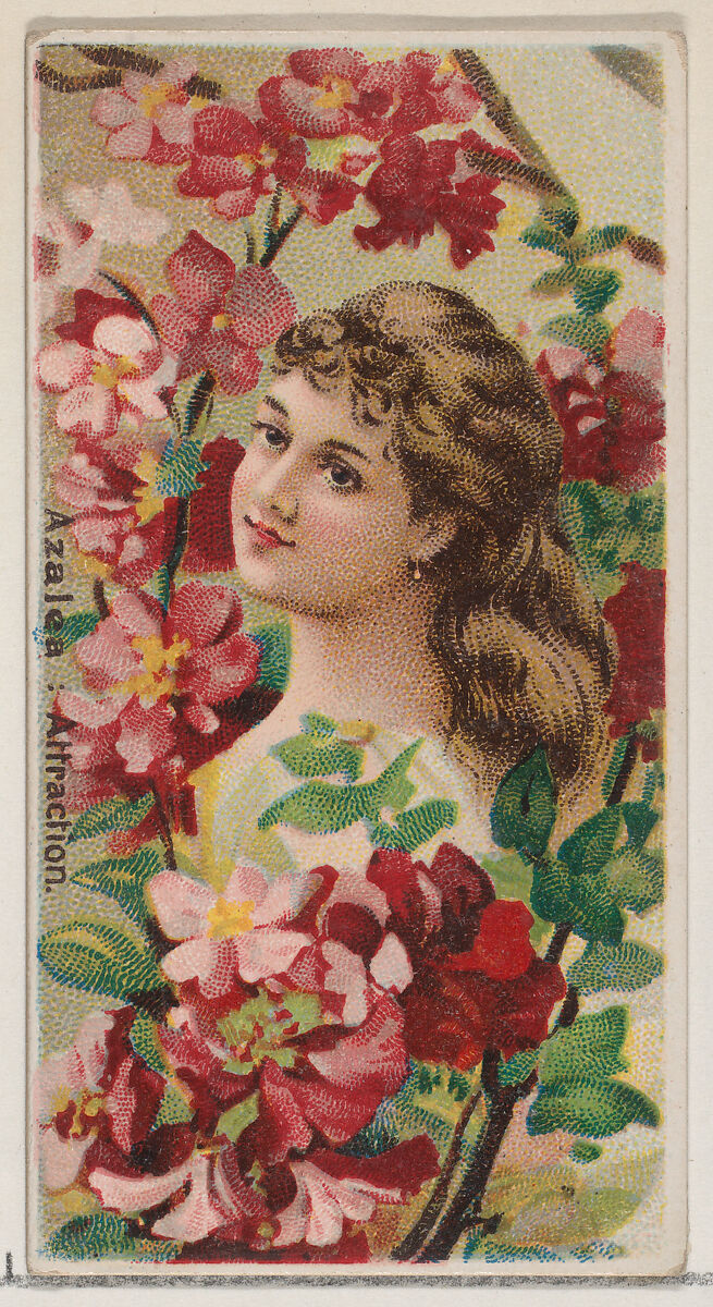 Azalea: Attraction, from the series Floral Beauties and Language of Flowers (N75) for Duke brand cigarettes, Issued by Duke Cigarette branch of the American Tobacco Company, Commercial color lithograph 