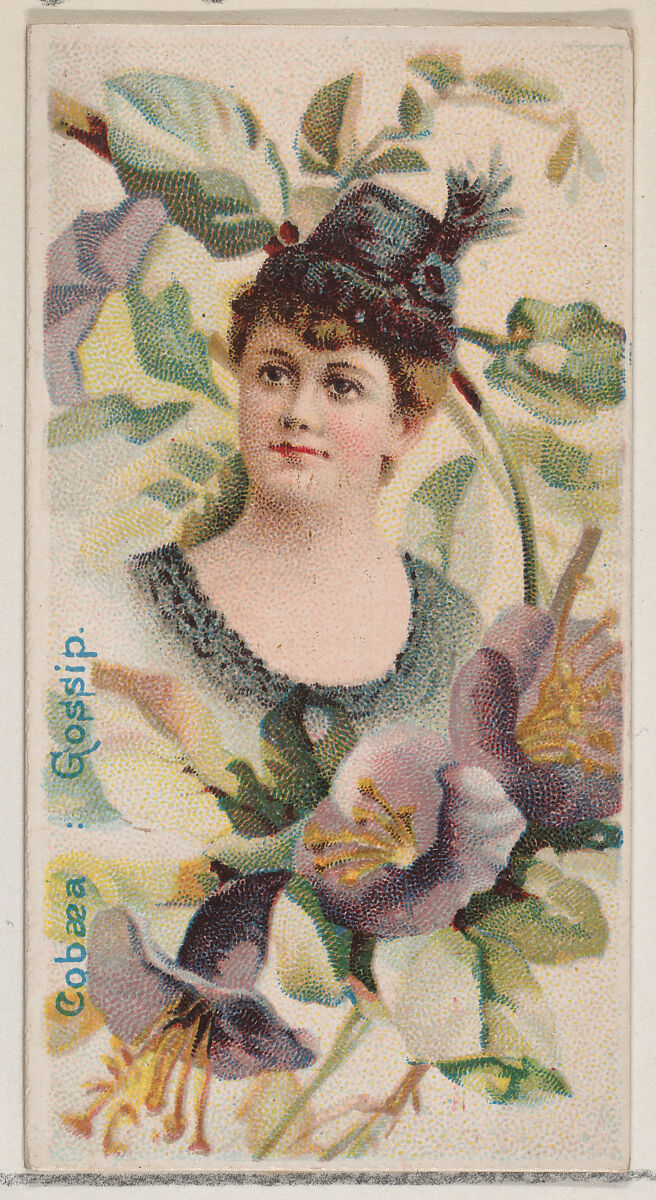 Cobaea: Gossip, from the series Floral Beauties and Language of Flowers (N75) for Duke brand cigarettes, Issued by Duke Cigarette branch of the American Tobacco Company, Commercial color lithograph 
