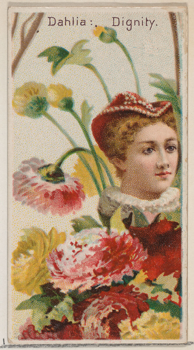 Dahlia: Dignity, from the series Floral Beauties and Language of Flowers (N75) for Duke brand cigarettes, Issued by Duke Cigarette branch of the American Tobacco Company, Commercial color lithograph 