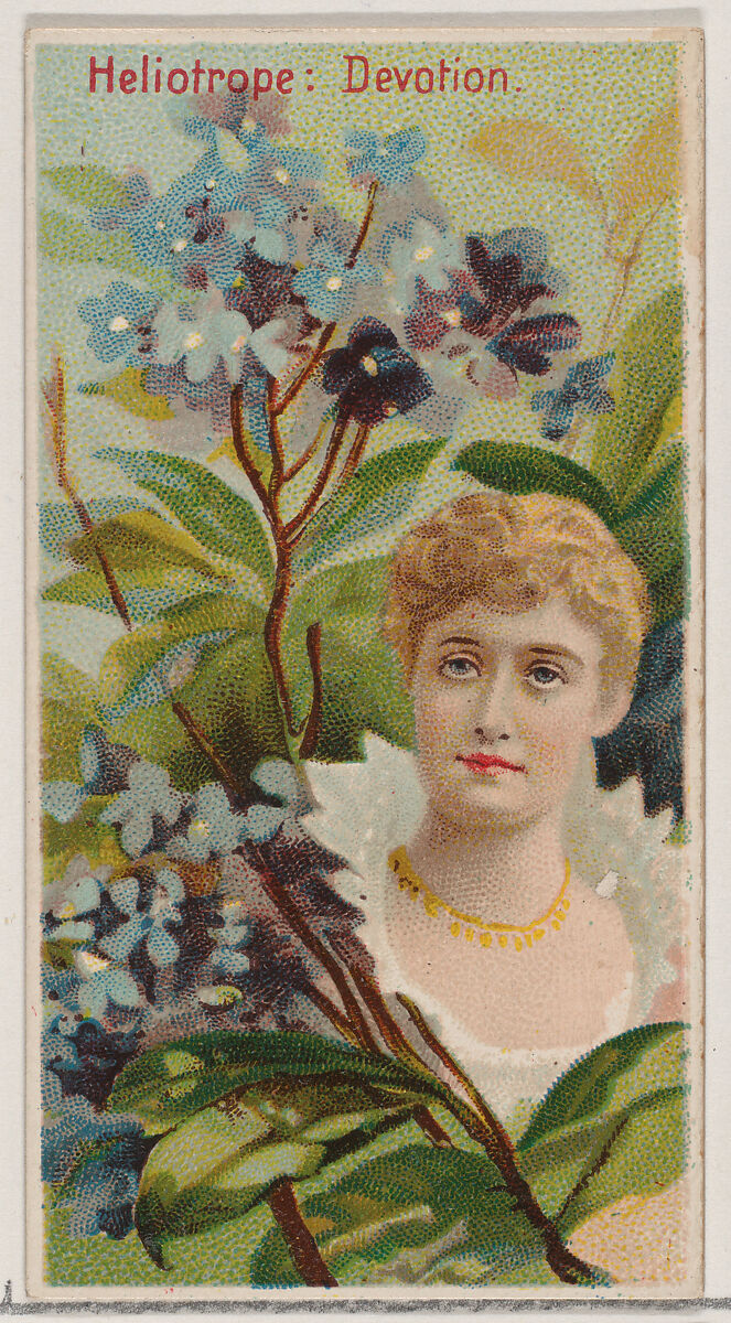 Heliotrope: Devotion, from the series Floral Beauties and Language of Flowers (N75) for Duke brand cigarettes, Issued by Duke Cigarette branch of the American Tobacco Company, Commercial color lithograph 
