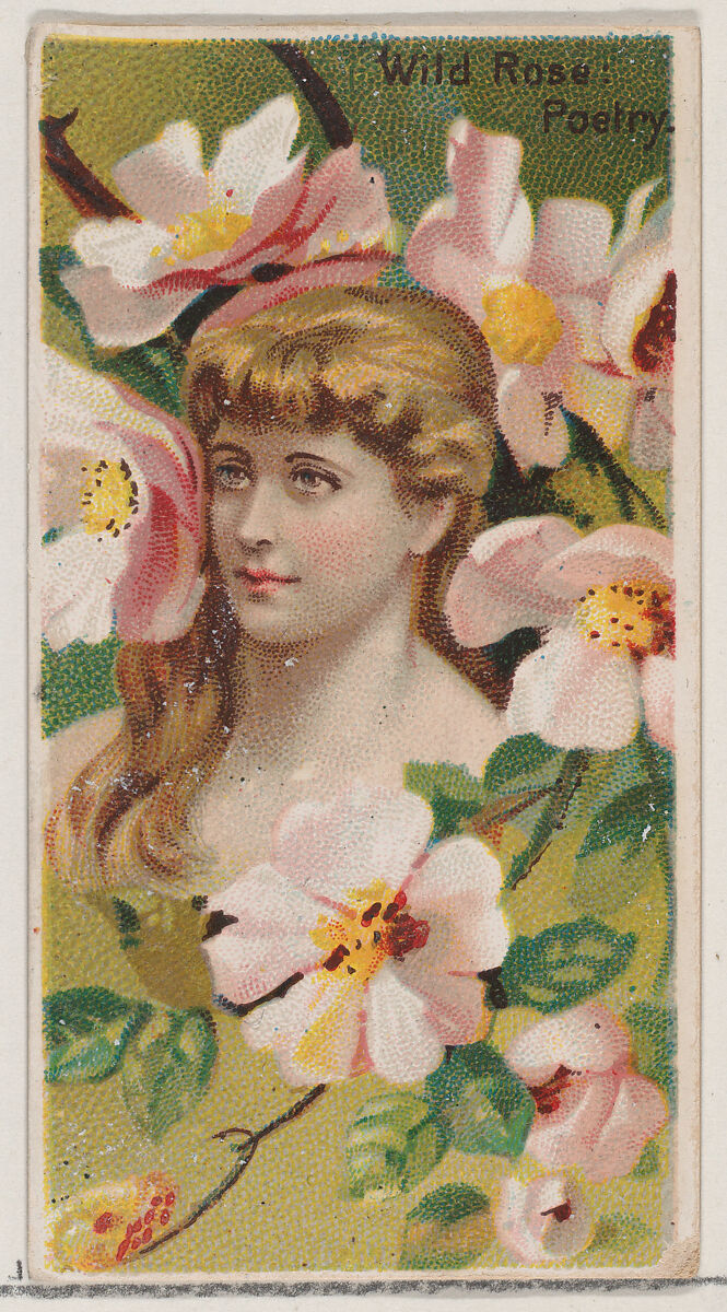 Wild Rose: Poetry, from the series Floral Beauties and Language of Flowers (N75) for Duke brand cigarettes, Issued by Duke Cigarette branch of the American Tobacco Company, Commercial color lithograph 