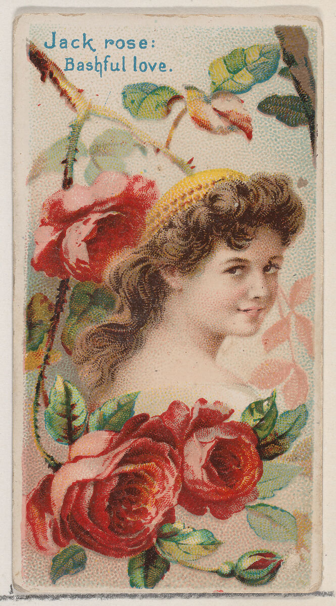 Jack Rose: Bashful Love, from the series Floral Beauties and Language of Flowers (N75) for Duke brand cigarettes, Issued by Duke Cigarette branch of the American Tobacco Company, Commercial color lithograph 