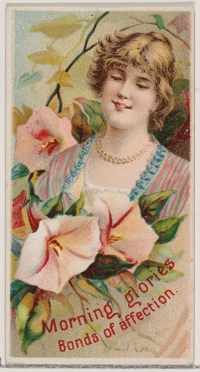 Morning Glories: Bonds of Affection, from the series Floral Beauties and Language of Flowers (N75) for Duke brand cigarettes, Issued by Duke Cigarette branch of the American Tobacco Company, Commercial color lithograph 