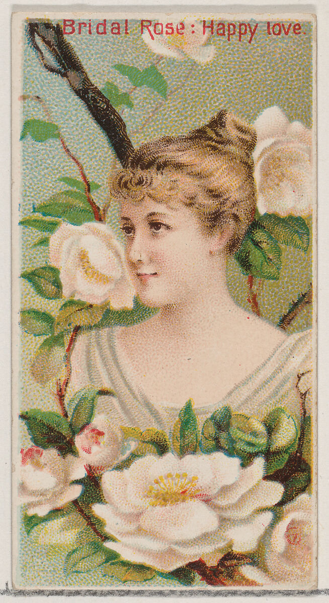 Bridal Rose: Happy Love, from the series Floral Beauties and Language of Flowers (N75) for Duke brand cigarettes, Issued by Duke Cigarette branch of the American Tobacco Company, Commercial color lithograph 