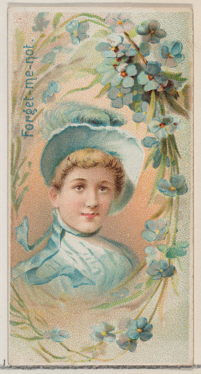 Forget-Me-Not, from the series Floral Beauties and Language of Flowers (N75) for Duke brand cigarettes, Issued by Duke Cigarette branch of the American Tobacco Company, Commercial color lithograph 