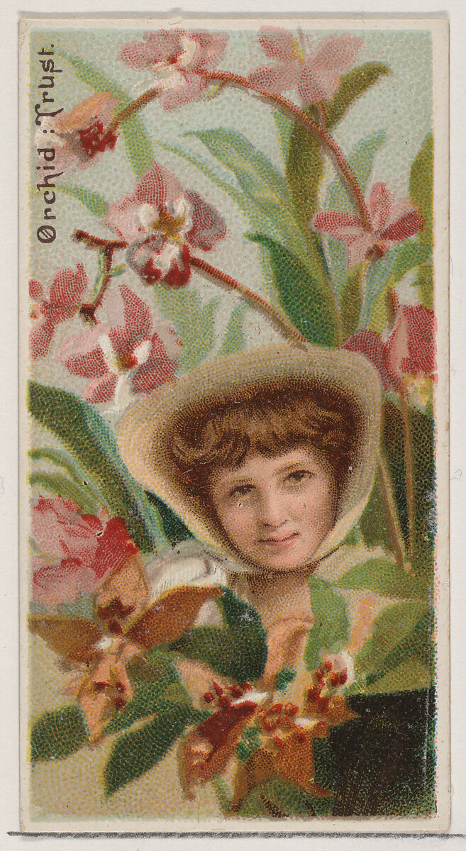 Orchid: Trust, from the series Floral Beauties and Language of Flowers (N75) for Duke brand cigarettes, Issued by Duke Cigarette branch of the American Tobacco Company, Commercial color lithograph 