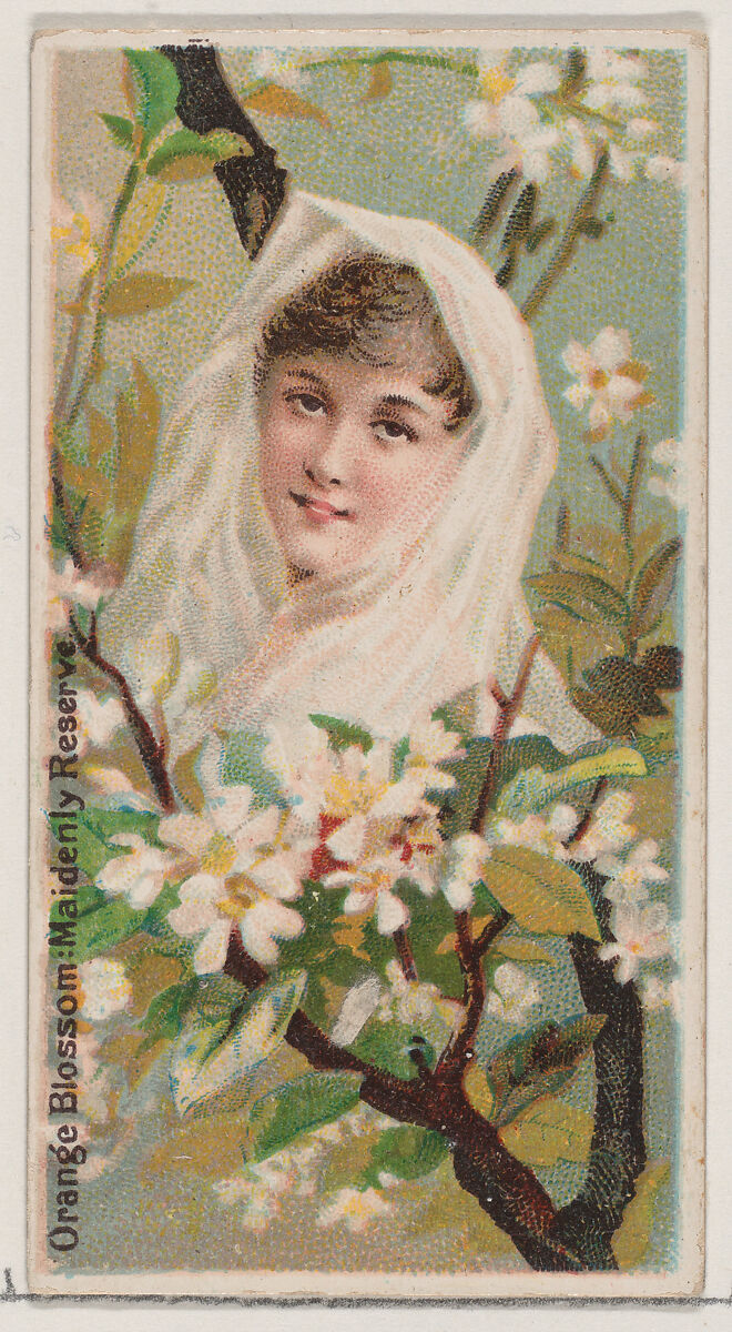 Orange Blossom: Maidenly Reserve, from the series Floral Beauties and Language of Flowers (N75) for Duke brand cigarettes, Issued by Duke Cigarette branch of the American Tobacco Company, Commercial color lithograph 