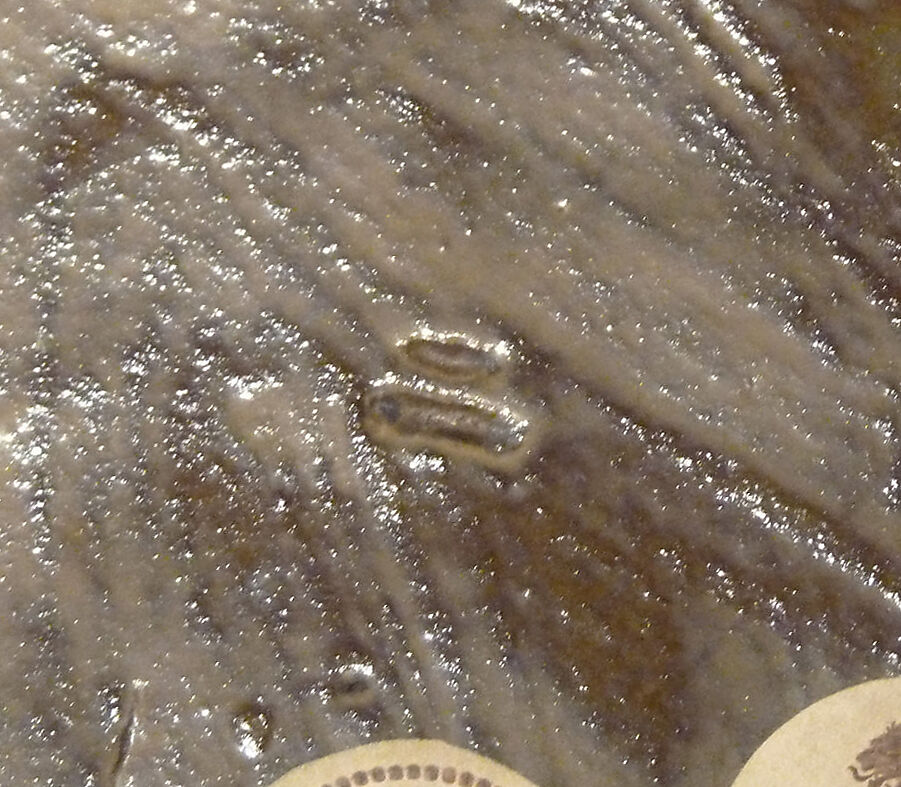 Bulb Bowl, Stoneware with variegated blue glaze ("numbered Jun" ware), China