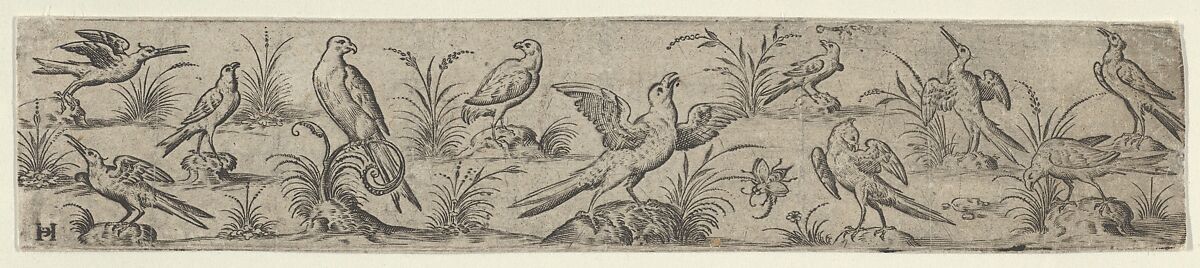 Frieze with Eleven Birds and an Insect, Jan Collaert I (Netherlandish, Antwerp ca. 1530–1581 Antwerp), Engraving 