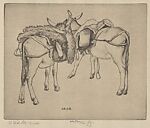 Donkeys of Selva (Majorca)