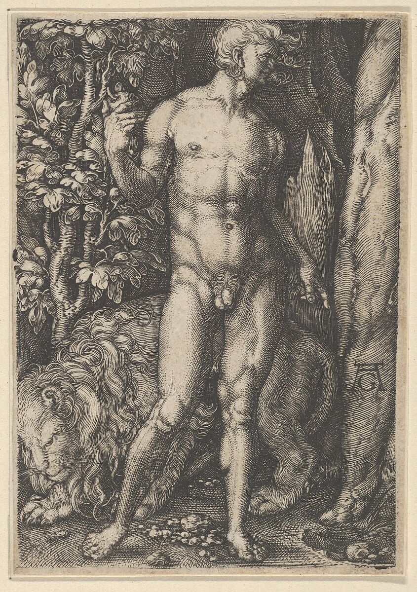 Adam with a Lion, Heinrich Aldegrever (German, Paderborn ca. 1502–1555/1561 Soest), Engraving 