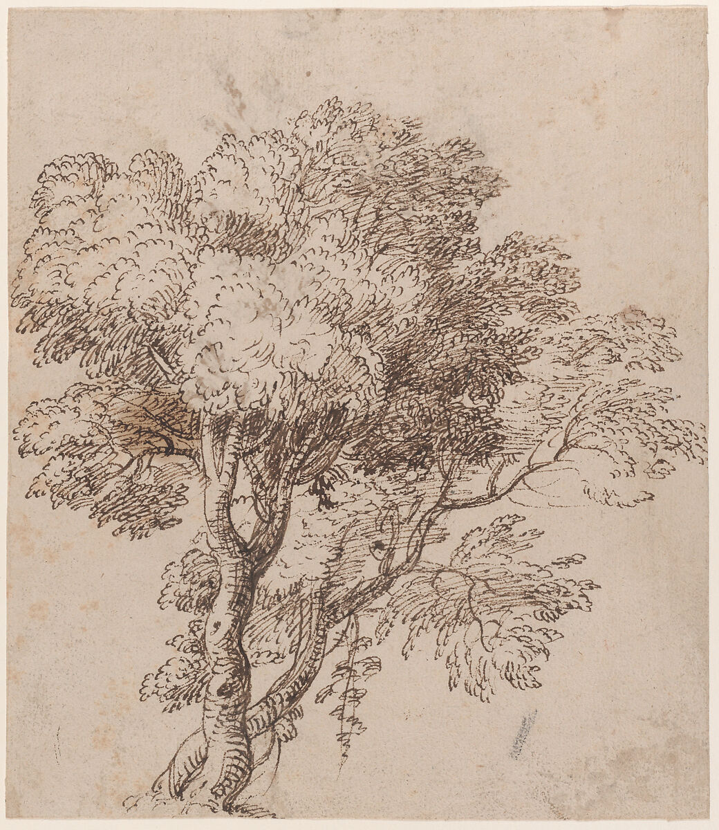 Study of a Group of Trees, Circle of Nicolas Poussin (French, Les Andelys 1594–1665 Rome), Pen and brown ink 