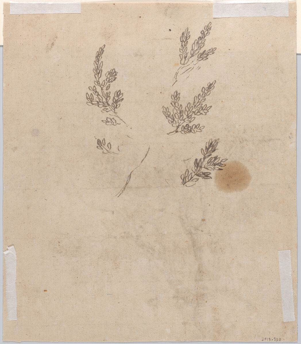 Study of a Group of Trees, Circle of Nicolas Poussin (French, Les Andelys 1594–1665 Rome), Pen and brown ink