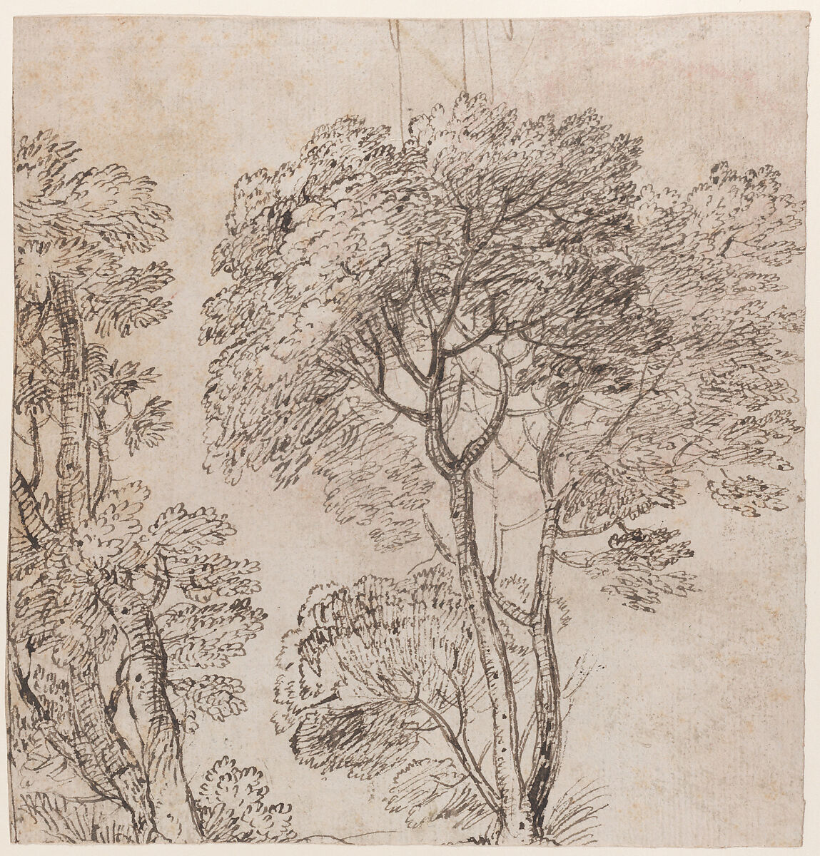 Study of a Group of Trees, Circle of Nicolas Poussin (French, Les Andelys 1594–1665 Rome), Pen and brown ink 