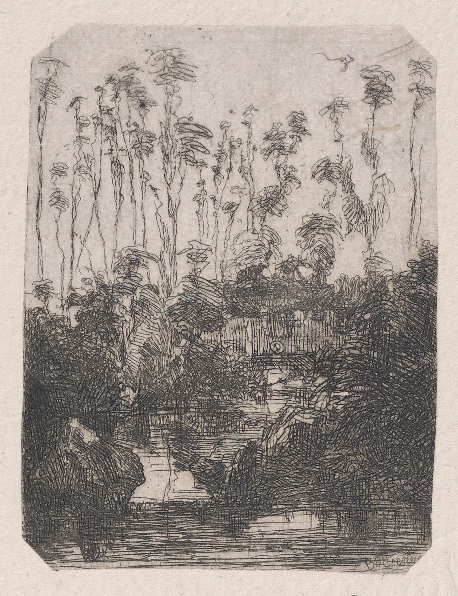 La Marais (The Swamp), Rodolphe Bresdin (French, Montrelais 1822–1885 Sèvres), Etching; second state of two (Van Gelder) 