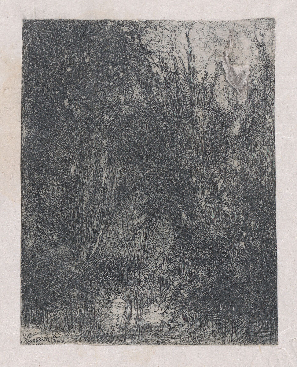La Marécage (The Marsh), Rodolphe Bresdin (French, Montrelais 1822–1885 Sèvres), Etching; first state of two (Van Gelder) 