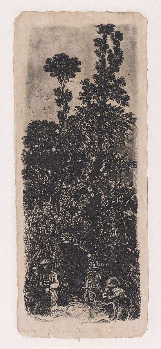 L'Ermite Sous Les Arbres (The Hermit Under The Trees), Rodolphe Bresdin (French, Montrelais 1822–1885 Sèvres), Etching; second state of two (Van Gelder) 