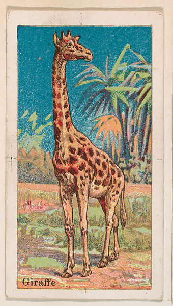 Giraffe, from the Menagerie Gum series (E26) for John H. Dockman & Son, Issued by John H. Dockman &amp; Son, Baltimore, Commercial color lithograph 