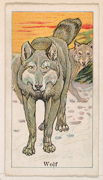 Wolf, from the Menagerie Gum series (E26) for John H. Dockman & Son, Issued by John H. Dockman &amp; Son, Baltimore, Commercial color lithograph 