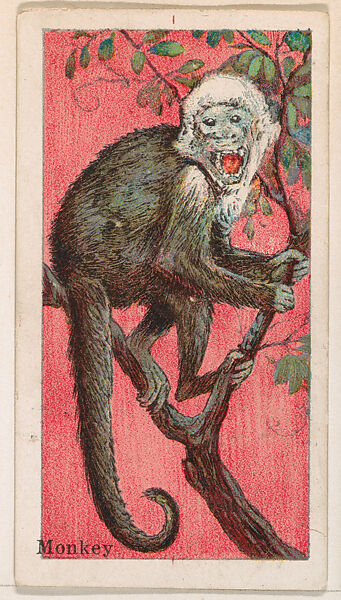 Monkey, from the Menagerie Gum series (E26) for John H. Dockman & Son, Issued by John H. Dockman &amp; Son, Baltimore, Commercial color lithograph 
