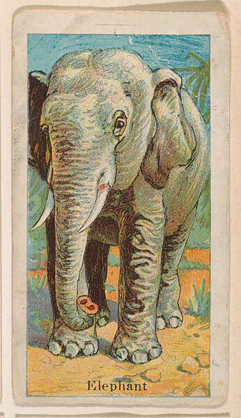 Elephant, from the Menagerie Gum series (E26) for John H. Dockman & Son, Issued by John H. Dockman &amp; Son, Baltimore, Commercial color lithograph 