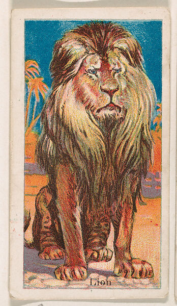 Lion, from the Menagerie Gum series (E26) for John H. Dockman & Son, Issued by John H. Dockman &amp; Son, Baltimore, Commercial color lithograph 