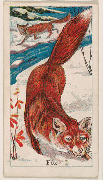 Fox, from the Menagerie Gum series (E26) for John H. Dockman & Son, Issued by John H. Dockman &amp; Son, Baltimore, Commercial color lithograph 