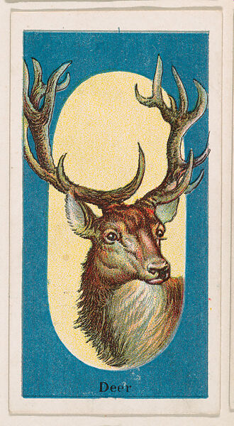 Deer, from the Menagerie Gum series (E26) for John H. Dockman & Son, Issued by John H. Dockman &amp; Son, Baltimore, Commercial color lithograph 
