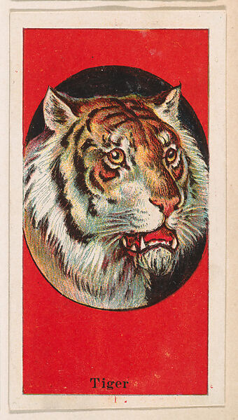 Tiger, from the Menagerie Gum series (E26) for John H. Dockman & Son, Issued by John H. Dockman &amp; Son, Baltimore, Commercial color lithograph 