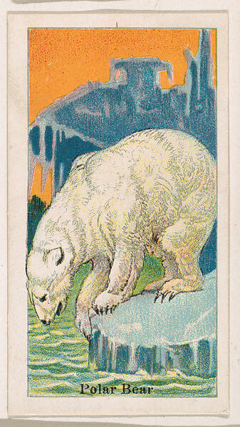 Polar Bear, from the Menagerie Gum series (E26) for John H. Dockman & Son, Issued by John H. Dockman &amp; Son, Baltimore, Commercial color lithograph 