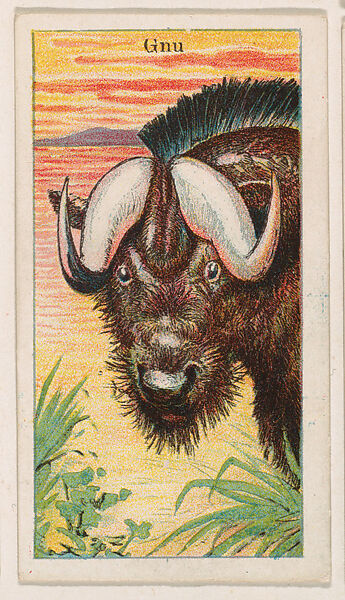 Gnu, from the Menagerie Gum series (E26) for John H. Dockman & Son, Issued by John H. Dockman &amp; Son, Baltimore, Commercial color lithograph 