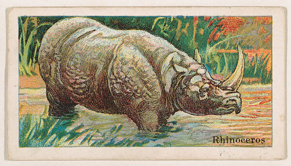 Rhinoceros, from the Menagerie Gum series (E26) for John H. Dockman & Son, Issued by John H. Dockman &amp; Son, Baltimore, Commercial color lithograph 