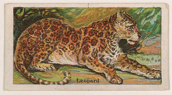 Leopard, from the Menagerie Gum series (E26) for John H. Dockman & Son, Issued by John H. Dockman &amp; Son, Baltimore, Commercial color lithograph 