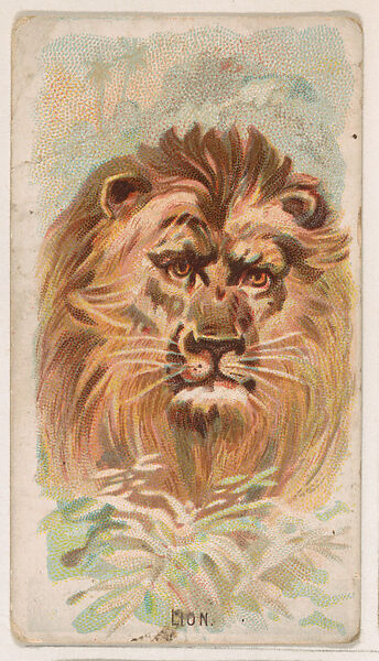 Lion, from the Zoo Animals series (E29) issued by The Philadelphia Confections Co. to promote Zoo Caramels, Issued by The Philadelphia Confections Co., Commercial color lithograph 