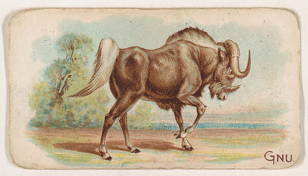 Gnu, from the Zoo Animals series (E26) issued by the Philadelphia Caramel Co. to promote Zoo Caramels, Issued by the Philadelphia Caramel Co., Camden, New Jersey, Commercial color lithograph 