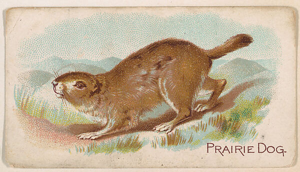 Prairie Dog, from the Zoo Animals series (E26) issued by the Philadelphia Caramel Co. to promote Zoo Caramels, Issued by the Philadelphia Caramel Co., Camden, New Jersey, Commercial color lithograph 