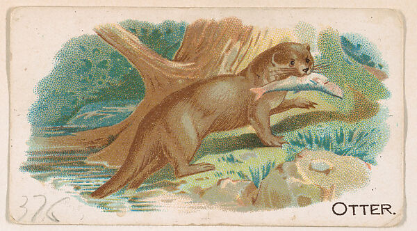 Otter, from the Zoo Animals series (E26) issued by the Philadelphia Caramel Co. to promote Zoo Caramels, Issued by the Philadelphia Caramel Co., Camden, New Jersey, Commercial color lithograph 