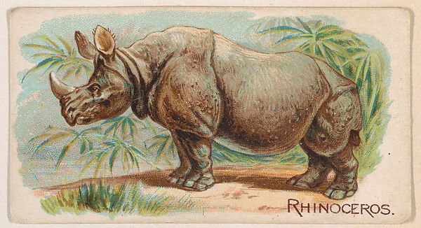 Rhinoceros, from the Zoo Animals series (E26) issued by the Philadelphia Caramel Co. to promote Zoo Caramels, Issued by the Philadelphia Caramel Co., Camden, New Jersey, Commercial color lithograph 