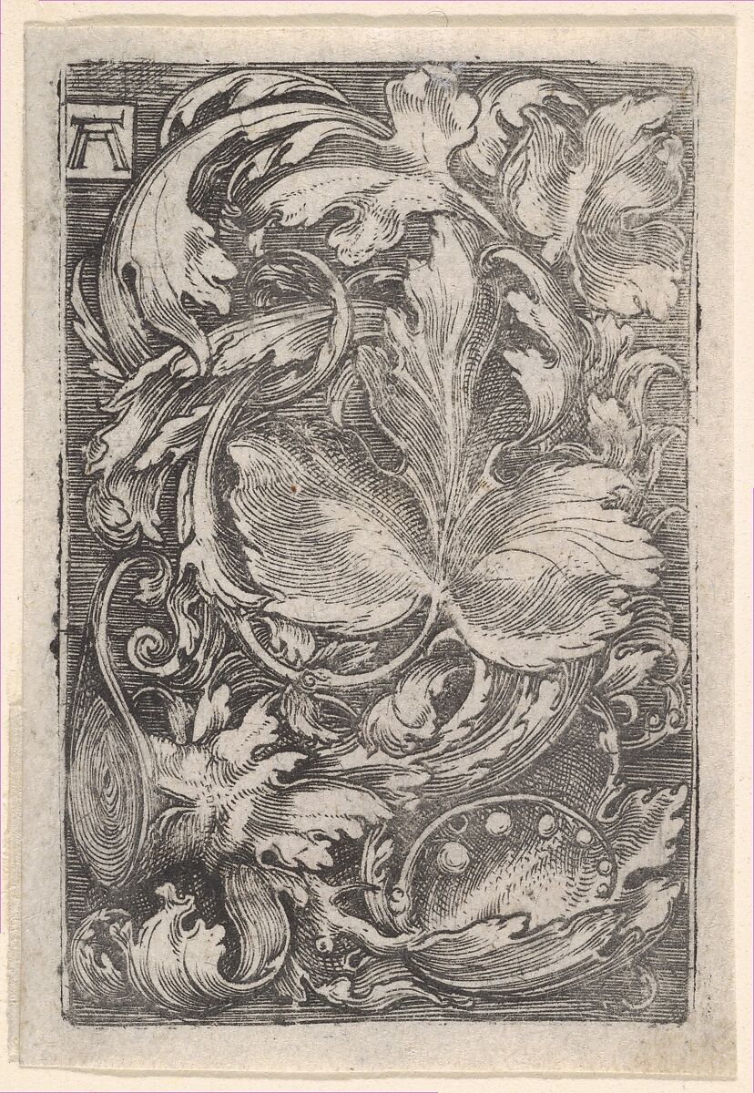 Leaf Ornament with Lilies of the Valley, Albrecht Altdorfer (German, Regensburg ca. 1480–1538 Regensburg), Engraving 