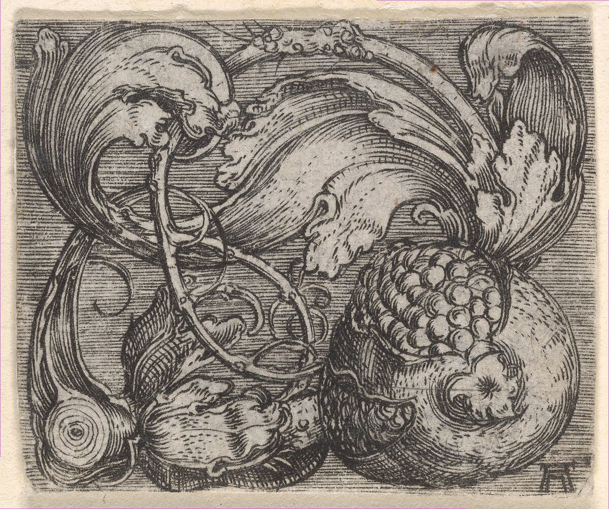 Pomegranate with Tendril, Albrecht Altdorfer (German, Regensburg ca. 1480–1538 Regensburg), Engraving 