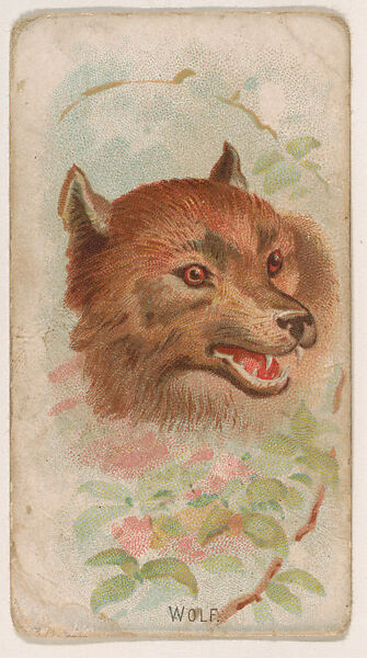 Wolf, from the Zoo Animals series (E29) issued by The Philadelphia Confections Co. to promote Zoo Caramels, Issued by The Philadelphia Confections Co., Commercial color lithograph 
