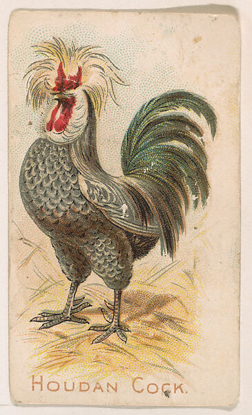 Houdan Cock, from the Zoo Fowls series (E31) issued by The Philadelphia Confections Co. to promote Zoo Caramels, Issued by The Philadelphia Confections Co., Commercial color lithograph 