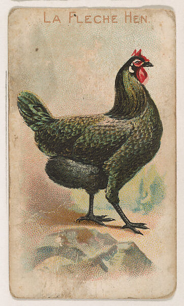 Issued by The Philadelphia Confections Co. | La Fleche Hen, from the ...