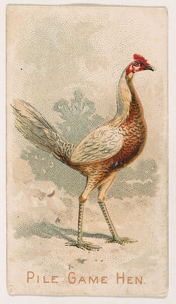 Pile Game Hen, from the Zoo Fowls series (E31) issued by The Philadelphia Confections Co. to promote Zoo Caramels, Issued by The Philadelphia Confections Co., Commercial color lithograph 