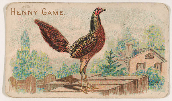 Henny Game, from the Zoo Fowls series (E31) issued by The Philadelphia Confections Co. to promote Zoo Caramels, Issued by The Philadelphia Confections Co., Commercial color lithograph 