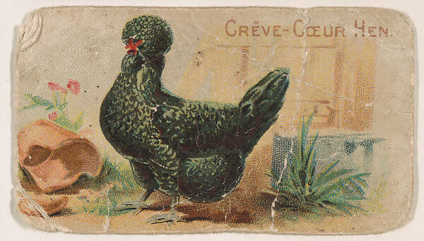 Crève-Cœur Hen, from the Zoo Fowls series (E31) issued by The Philadelphia Confections Co. to promote Zoo Caramels, Issued by The Philadelphia Confections Co., Commercial color lithograph 