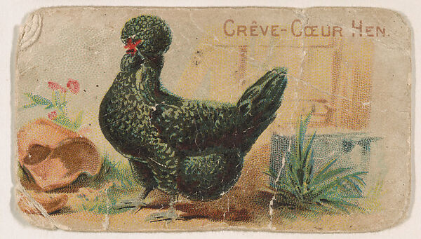 Crève-Cœur Hen, from the Zoo Fowls series (E31) issued by The Philadelphia Confections Co. to promote Zoo Caramels, Issued by The Philadelphia Confections Co., Commercial color lithograph