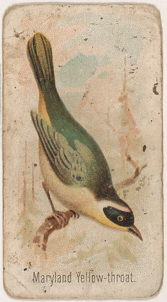 Maryland Yellow-throat, from the Zoo Birds series (E30) issued by The Philadelphia Confections Co. to promote Zoo Caramels, Issued by The Philadelphia Confections Co., Commercial color lithograph 